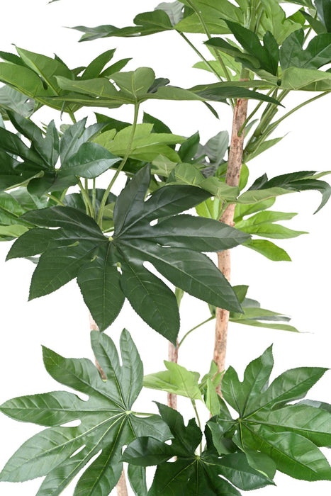 Pianta Finta Fatsia Japonica 150Cm Per Interni