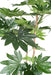 Pianta Finta Fatsia Japonica 150Cm Per Interni