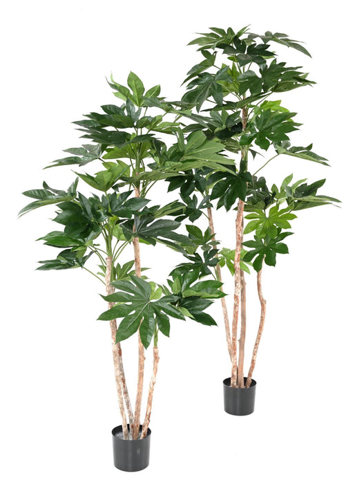 Pianta Finta Fatsia Japonica 150Cm Per Interni