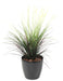 Pianta Erba Artificiale UV In Vaso 80Cm