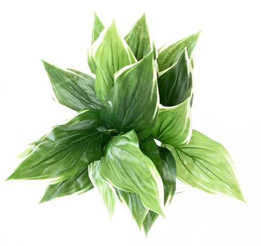 Pianta Hosta Artificiale Su Paletto 60 Cm Verde Bianco