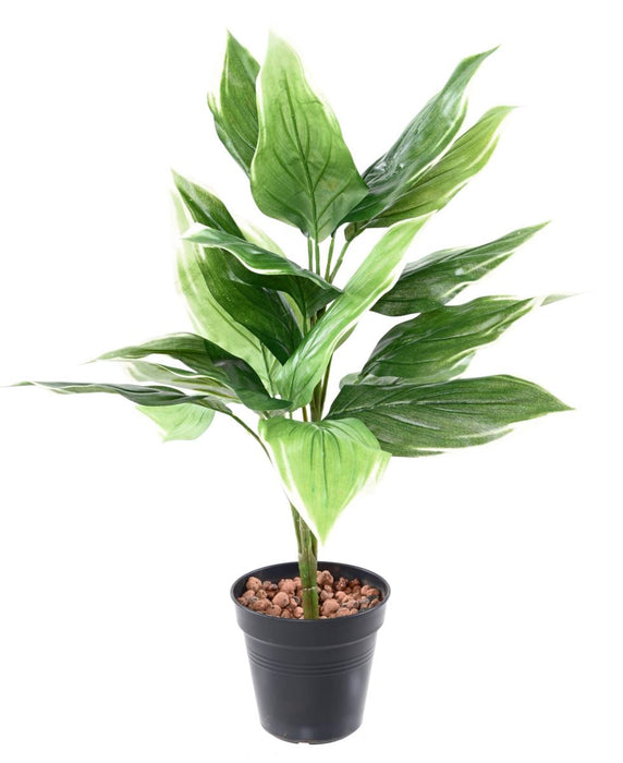 Pianta Hosta Artificiale Su Paletto 60 Cm Verde Bianco
