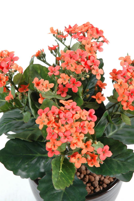 Pianta Kalanchoe Artificiale Su Palo 25Cm Pesca