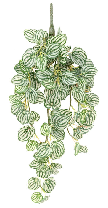Pianta Artificiale Peperomia Pensile H.70 Cm