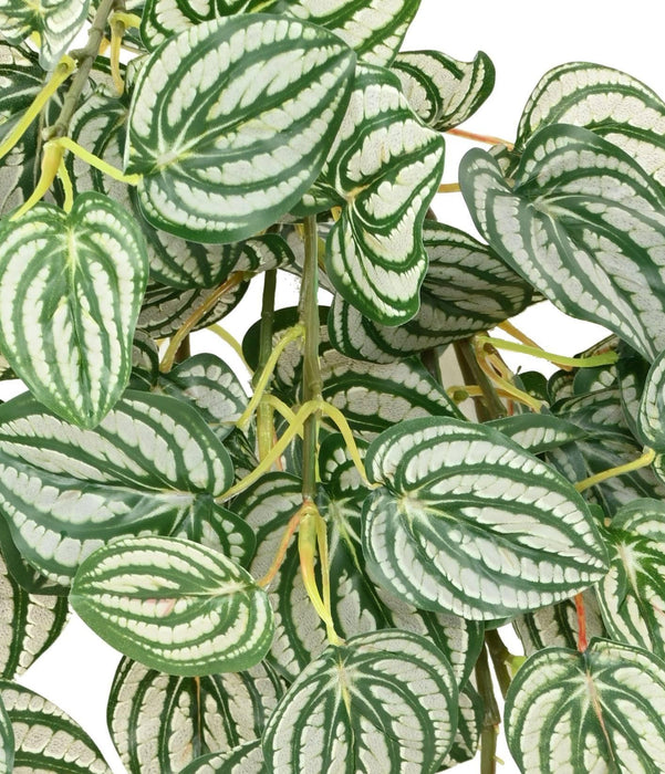 Pianta Artificiale Peperomia Pensile H.70 Cm