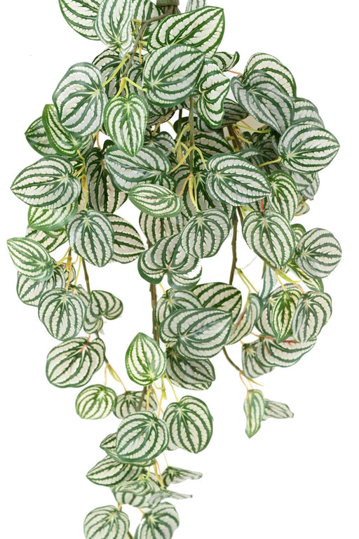 Pianta Artificiale Peperomia Pensile H.70 Cm