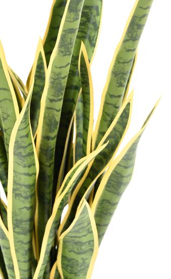 Pianta Sansevieria Artificiale 85 Cm Decorazione Interni