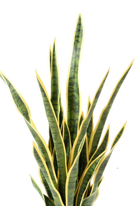 Pianta Sansevieria Artificiale 85 Cm Decorazione Interni