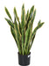 Pianta Artificiale Sansevieria 93Cm Decorazione Interna