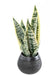 Pianta Artificiale Di Sansevieria In Vaso Decorativo 49 Cm