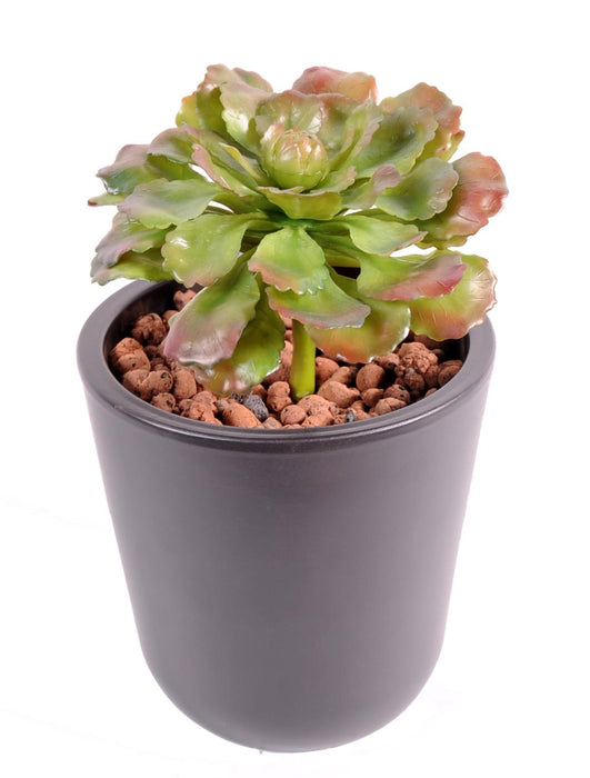 Pianta Succulente Artificiale Da Interno H.19Cm