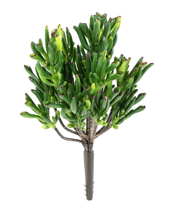 Pianta Succulenta Artificiale Per La Decorazione Esterna