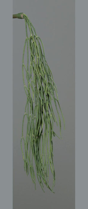 Pianta Grassa Artificiale Sospesa 62 Cm