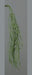 Pianta Grassa Artificiale Sospesa 62 Cm