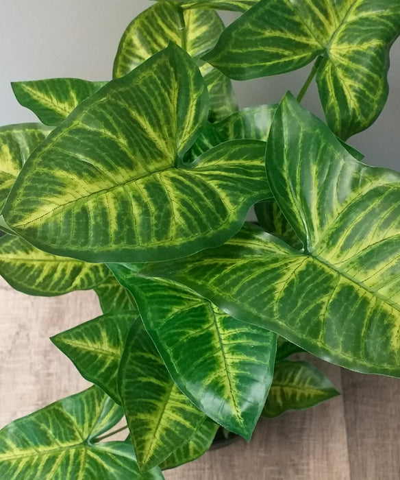 Pianta Syngonium Artificiale In Vaso 50 Cm Verde