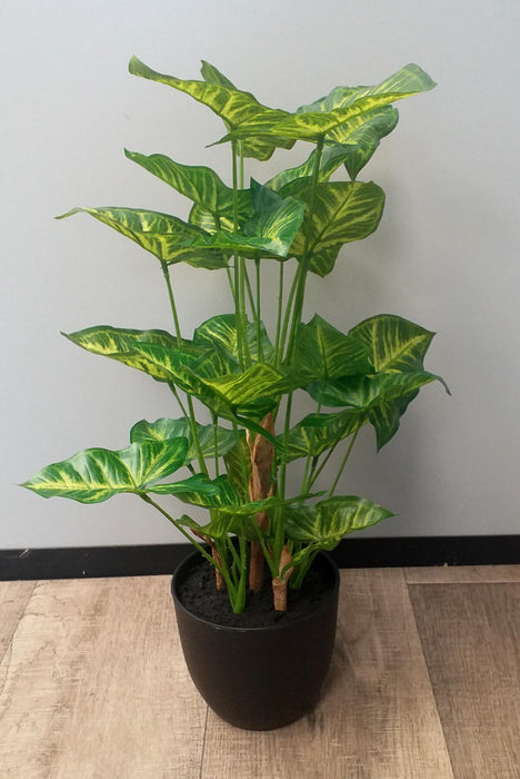 Pianta Syngonium Artificiale In Vaso 50 Cm Verde