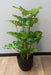 Pianta Syngonium Artificiale In Vaso 50 Cm Verde