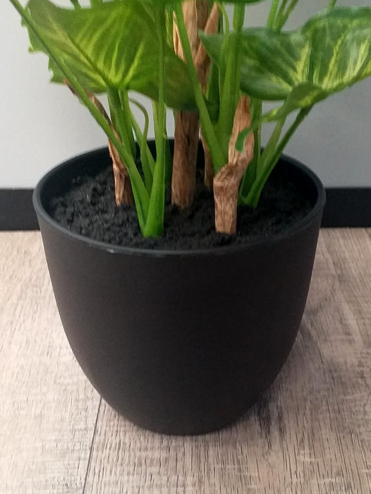 Pianta Syngonium Artificiale In Vaso 50 Cm Verde