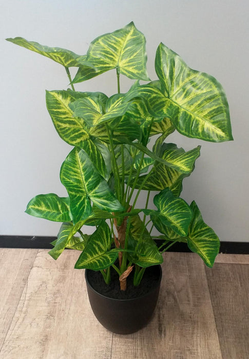 Pianta Syngonium Artificiale In Vaso 50 Cm Verde
