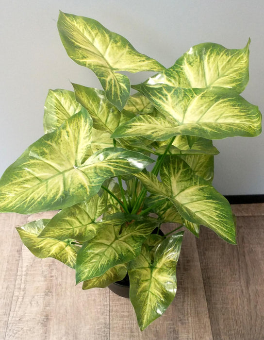 Pianta Syngonium Artificiale In Vaso 50Cm Verde Chiaro