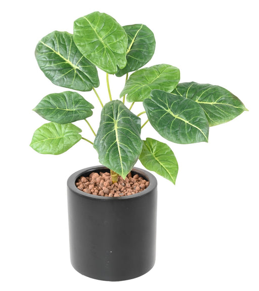 Pianta Verde Artificiale Alocasia 10 Foglie 50Cm