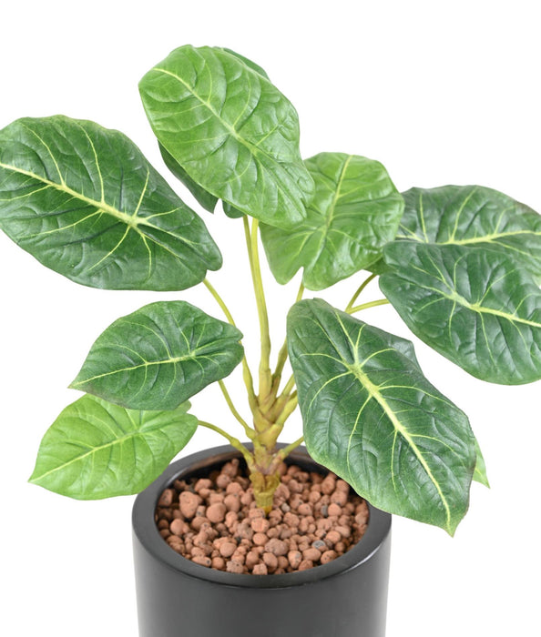 Pianta Verde Artificiale Alocasia 10 Foglie 50Cm