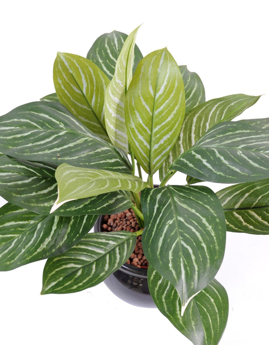 Pianta Xanthosoma Artificiale In Vaso 45Cm