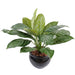 Pianta Xanthosoma Artificiale In Vaso 45Cm