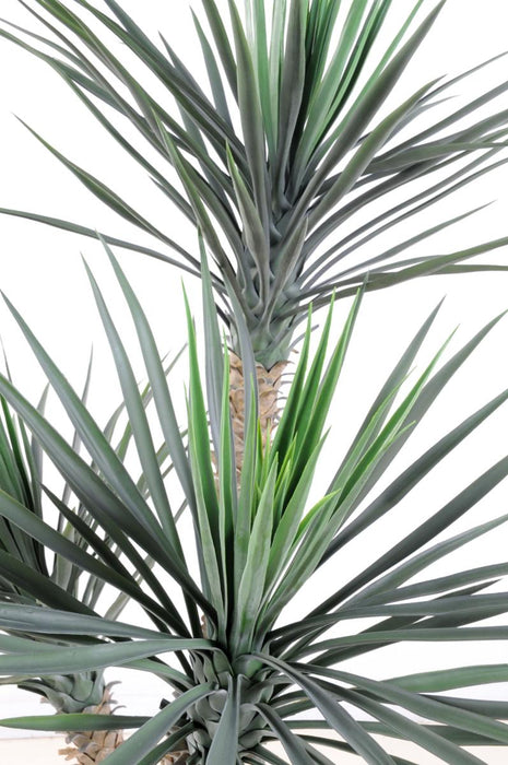Pianta Yucca Artificiale 3 Tronchi 155 Cm Verde