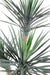 Pianta Yucca Artificiale 3 Tronchi 155 Cm Verde