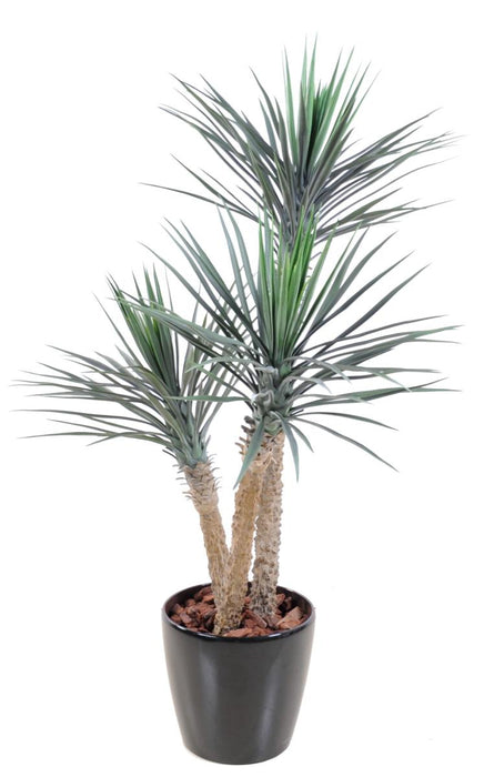 Pianta Yucca Artificiale 3 Tronchi 155 Cm Verde