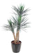 Pianta Yucca Artificiale 3 Tronchi 155 Cm Verde