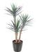 Pianta Yucca Artificiale 3 Tronchi 155 Cm Verde