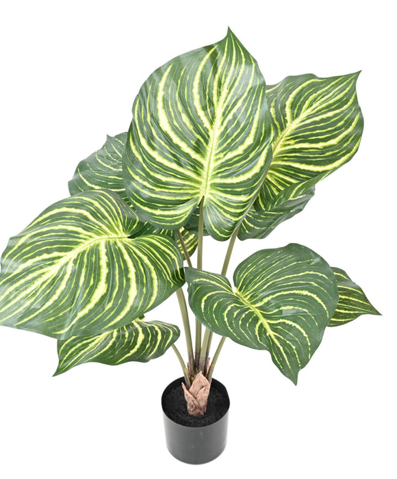 Pianta Zebra Artificiale H.70Cm In Vaso Nero