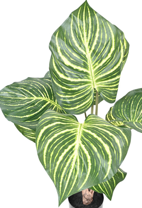 Pianta Zebra Artificiale H.70Cm In Vaso Nero