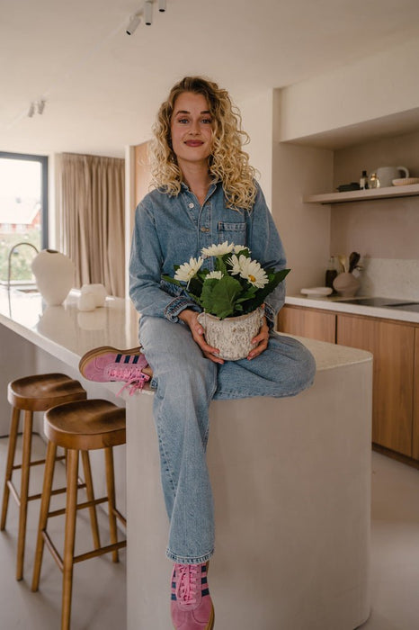 Pianta Artificiale Gerbera Bianca