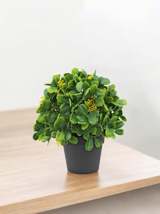 Pianta Artificiale Da Esterno In Vaso