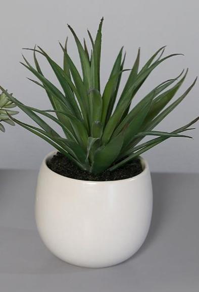 Piante Succulente Artificiali In Vaso Di Ceramica Bianca