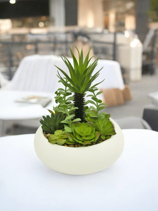 Piante Succulente - Composizione Artificiale