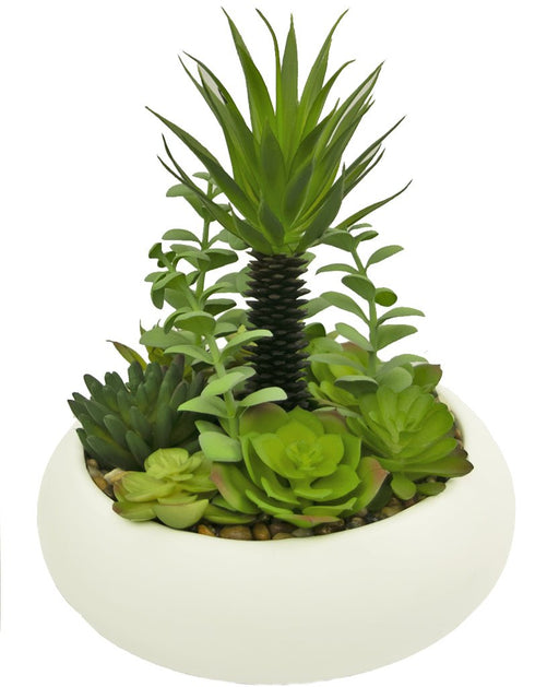 Piante Succulente - Composizione Artificiale