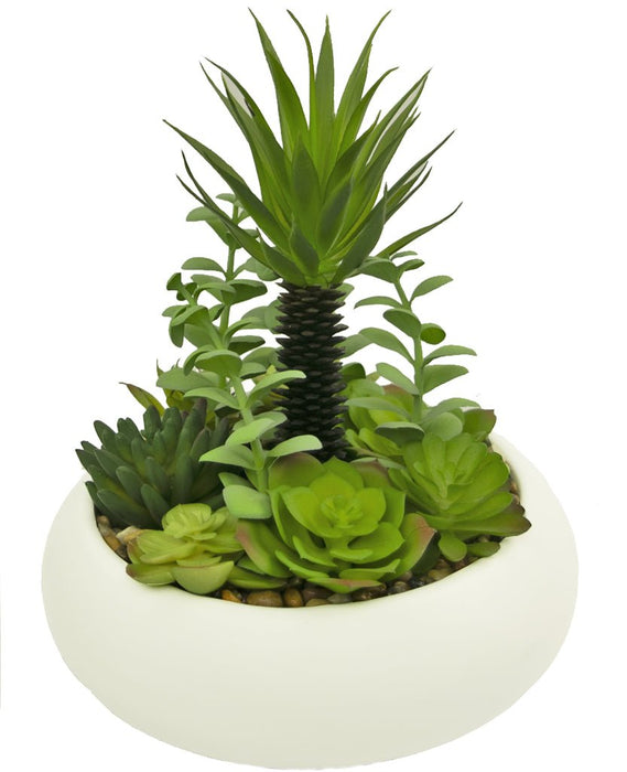 Piante Succulente - Composizione Artificiale