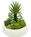 Piante Succulente - Composizione Artificiale