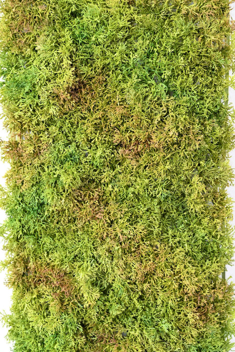 Piastra In Muschio Artificiale Verde Per Parete Verde