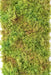 Piastra In Muschio Artificiale Verde Per Parete Verde