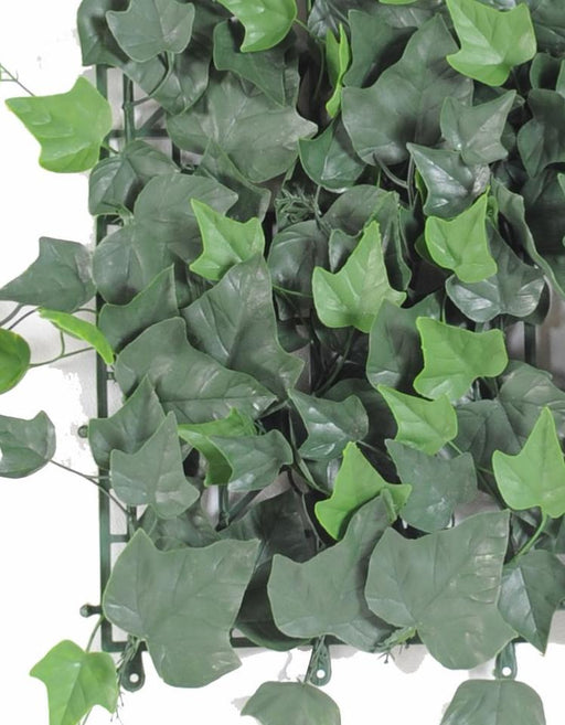 Targa Da Muro Pianta Di Edera 47X47Cm Decorazione Per Esterni