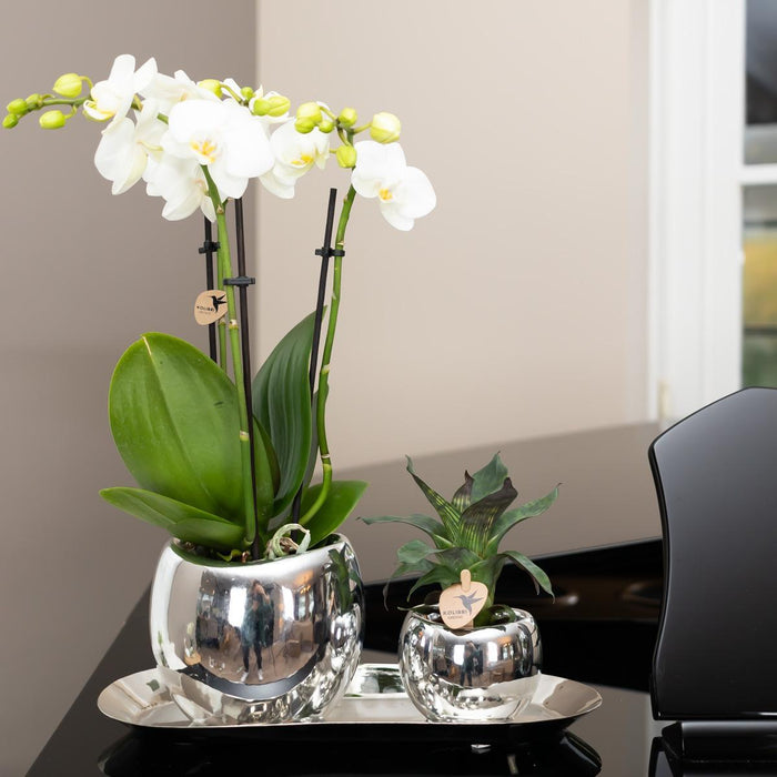 Vassoio Ovale In Argento