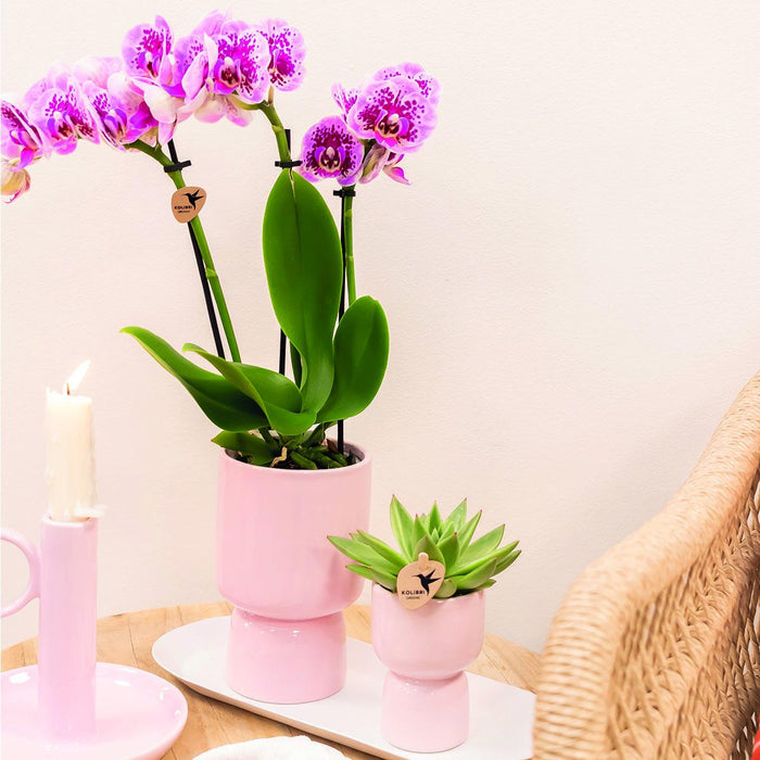 Vassoio Ovale Bianco | Decorazione Domestica