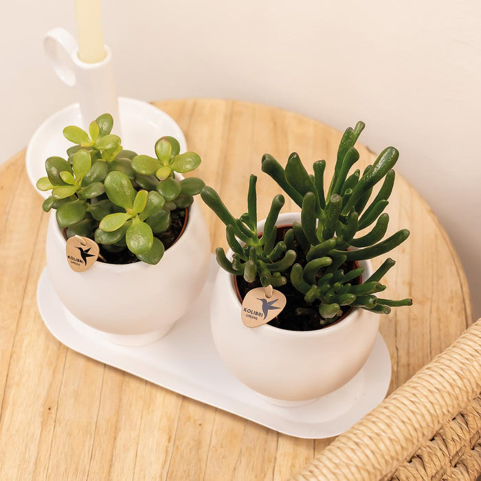 Vassoio Ovale Bianco | Decorazione Domestica