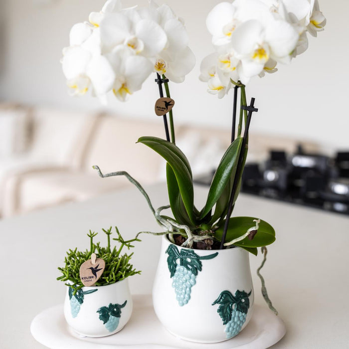 Vassoio Ovale Bianco - Home Cloud