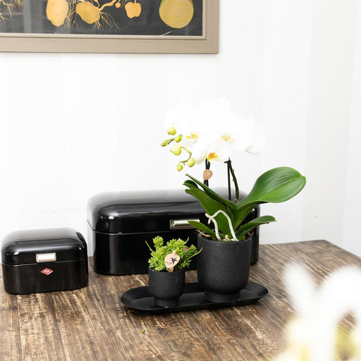 Vassoio Per Piante Ovale Nero